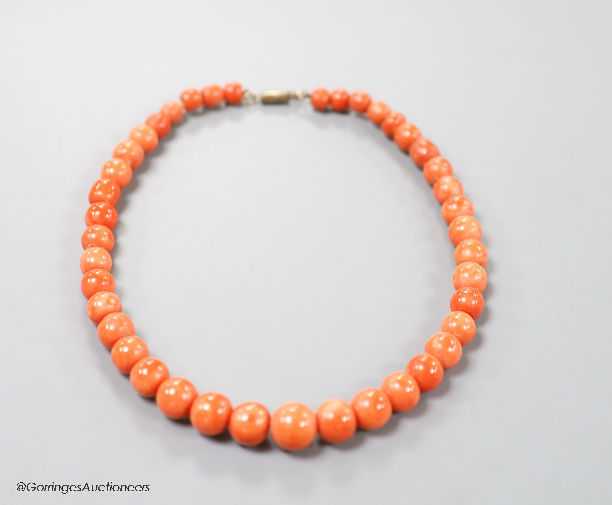 A single strand graduated coral bead choker necklace, 36cm, gross weight 63 grams.